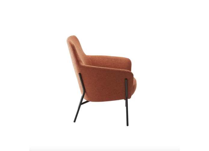 Fauteuil LION