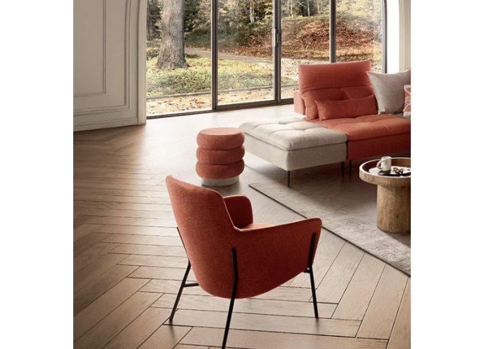 Fauteuil LION