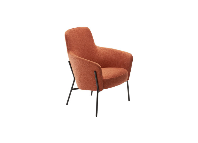 Fauteuil LION