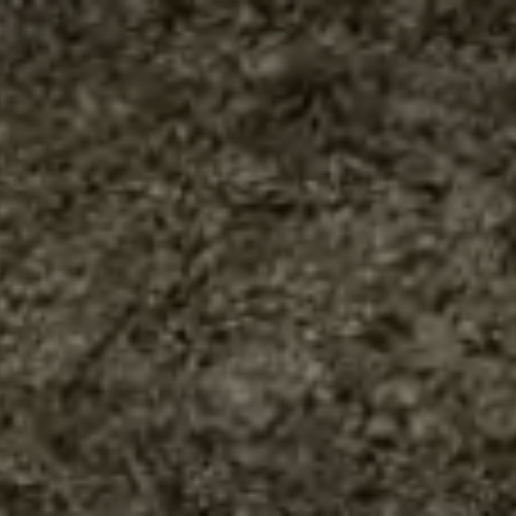 12 Bosco