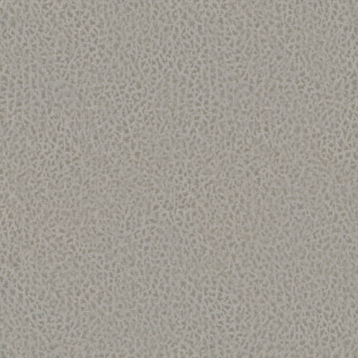 Light Grey 10