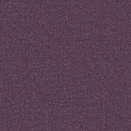 W021 VIOLA