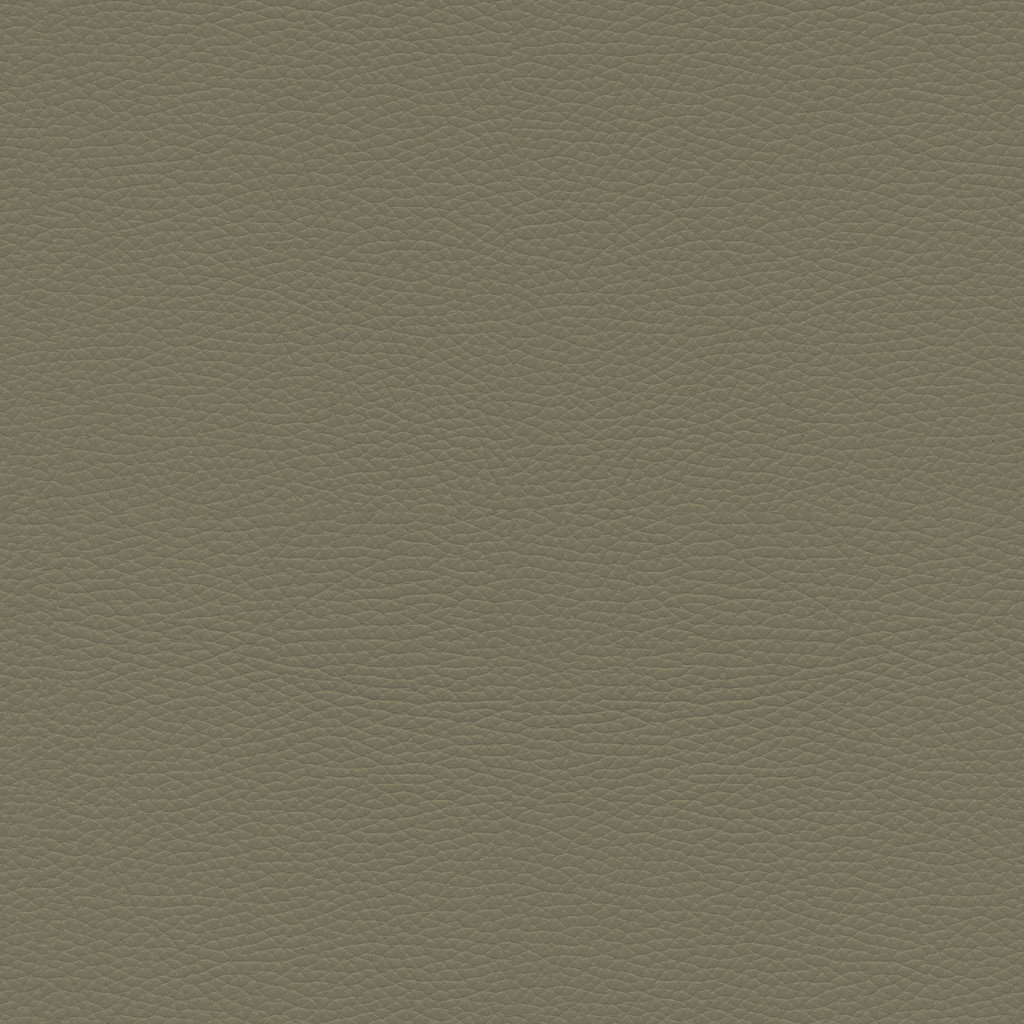 329 OLIVE