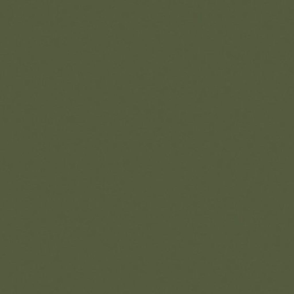 F38 OLIVE