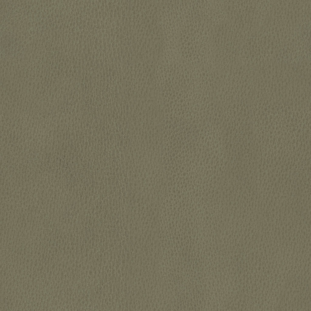 T432 Moss