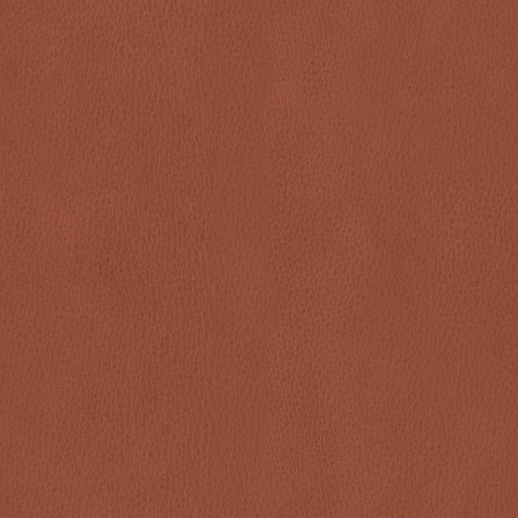 T430 Sienna