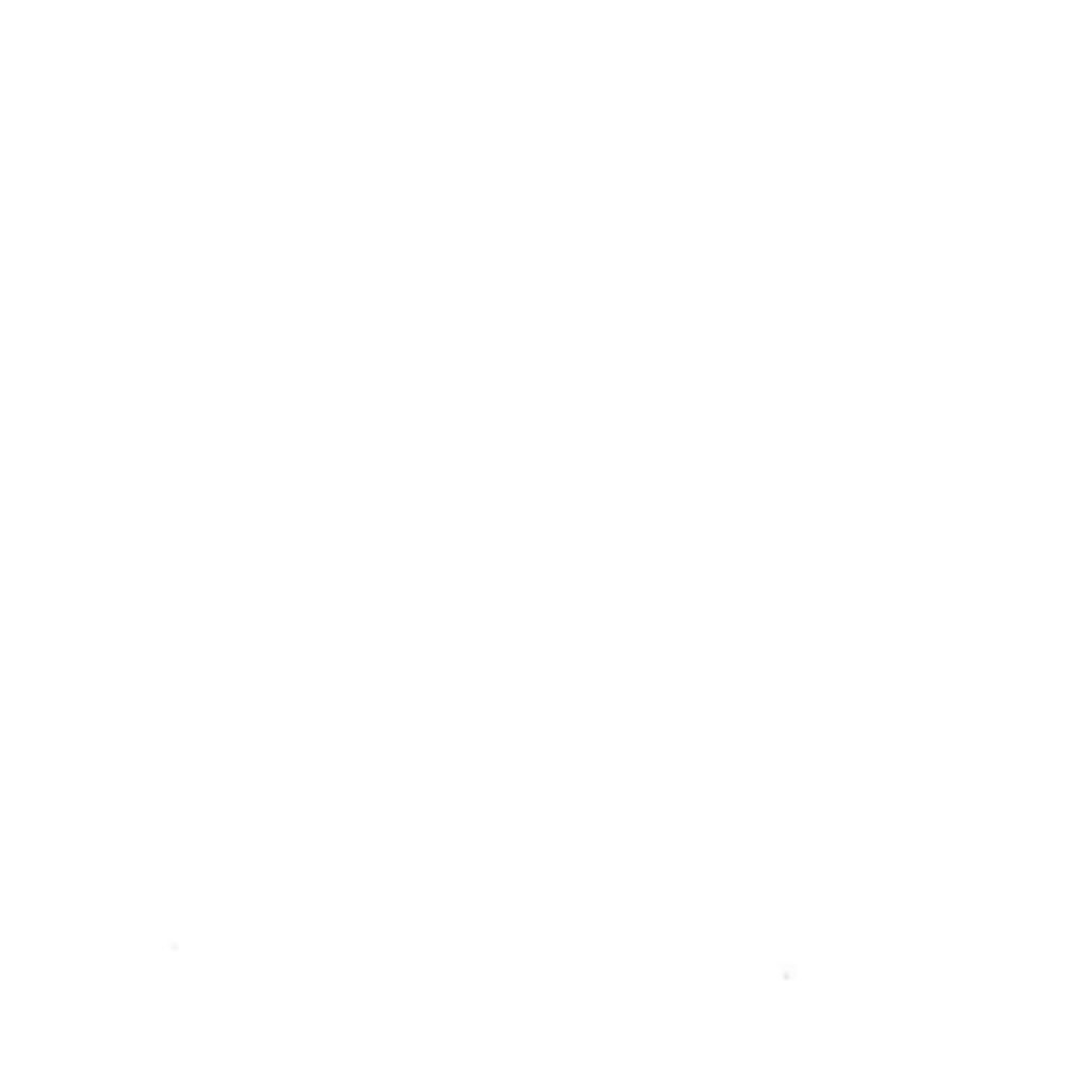 LAQUE BRILLANT BLANC NEVE LB29
