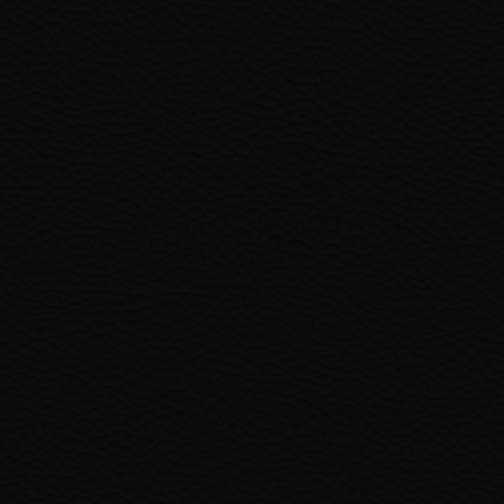 P301 Black