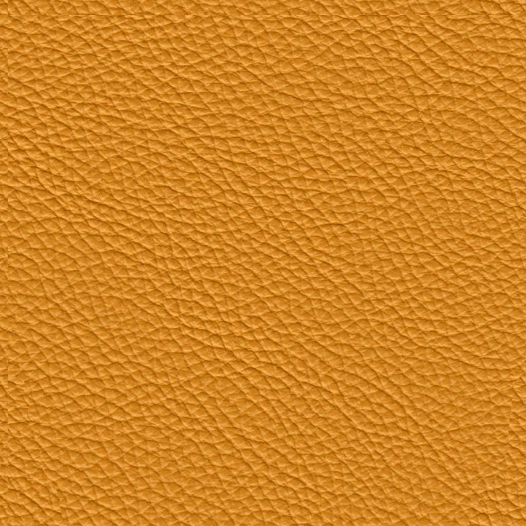GIALLO SENAPE 1038 COUTURES CONTRASTÉES MARRON CLAIR