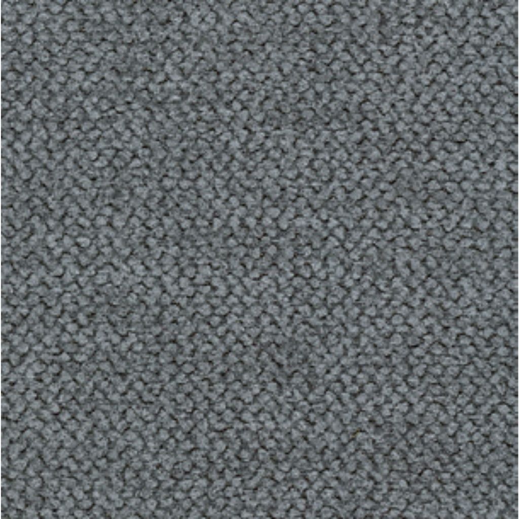 B 919