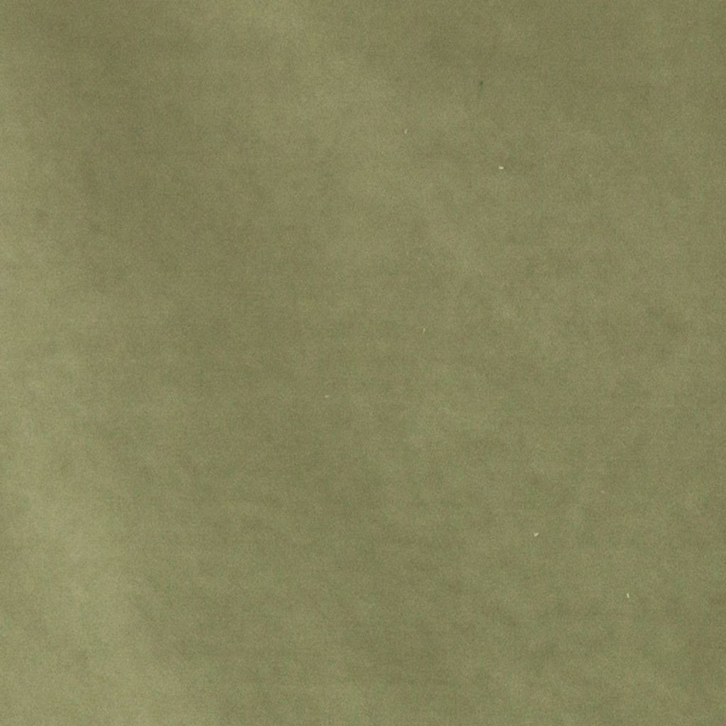 BEL355