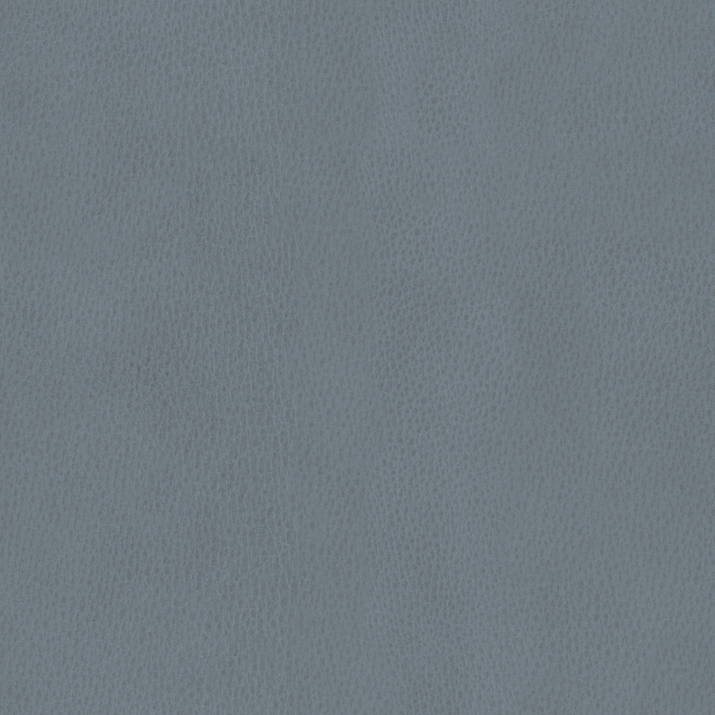 T428 Lake Blue