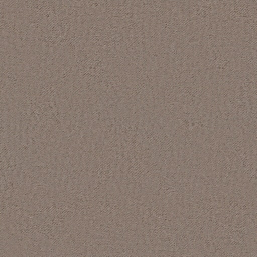 603 Tortora