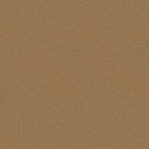 404 Deserto