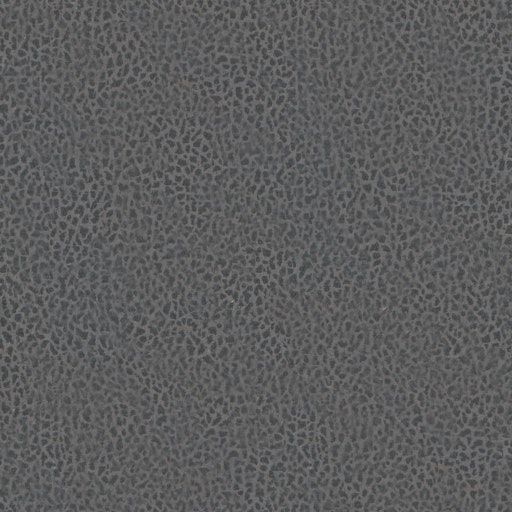 Anthracite 12