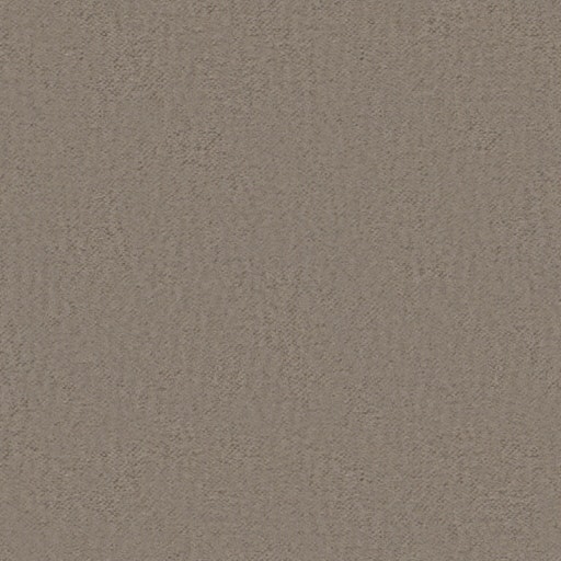 602 Topo