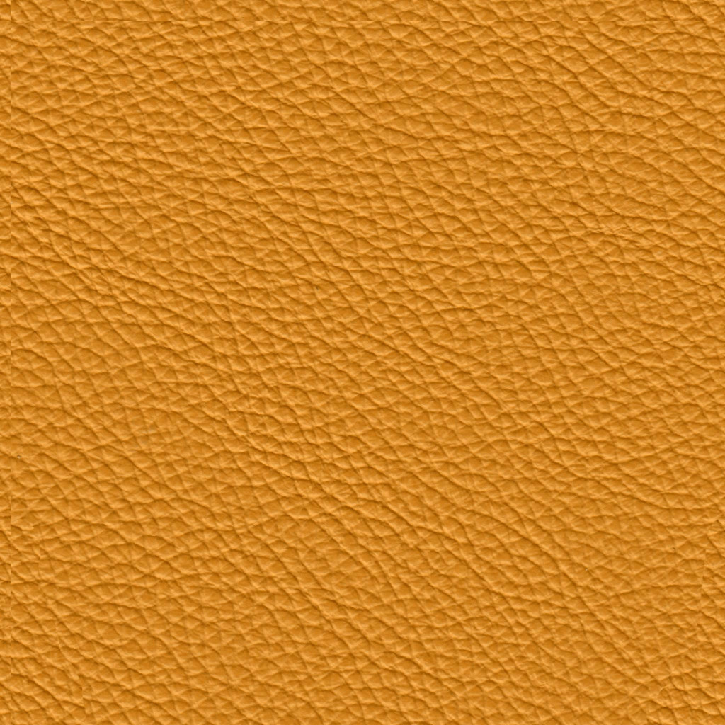 Giallo Senape 1038